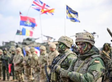 Соединённые Штаты Америки и «Соединённые Штаты Европы»