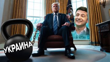 "Крым ваш": Трамп отвесил Зеленскому звонкую оплеуху и ушибся