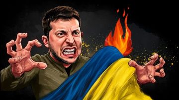 Зеленский поставил ультиматум США. Условия изменились. Уиткоффу предстоит тяжелейшая миссия в Москве