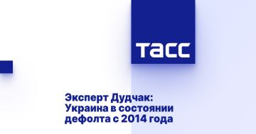 Эксперт Дудчак: Украина в состоянии дефолта с 2014 года