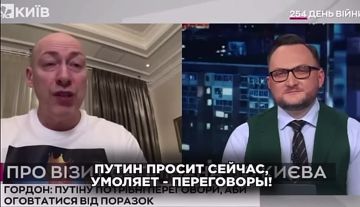 Диана Панченко: Вместо того, что чтобы договориться (для чего его выбирали), Зеленский&Co 3 года смеялись, что Путин хочет мира