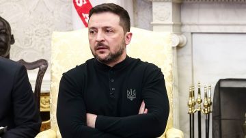 Зеленский остался один: план Трампа по Украине становится реальностью?