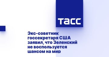 Экс-советник госсекретаря США заявил, что Зеленский не воспользуется шансом на мир