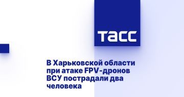 В Харьковской области при атаке FPV-дронов ВСУ пострадали два человека