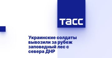 Украинские солдаты вывозили за рубеж заповедный лес с севера ДНР