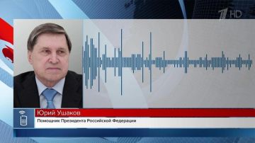 Ушаков назвал символичной беседу Путина и Уиткоффа в годовщину встречи на Эльбе