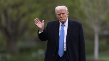 Сделка по Украине и признание Крыма – что Трамп хочет "продать" Москве