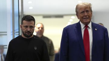 Американская парадигма: Трамп всё понял и решил вести дела с Путиным, что выводит Зеленского из себя