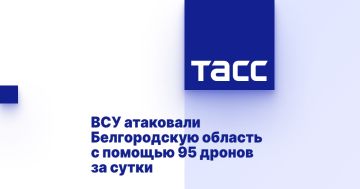ВСУ атаковали Белгородскую область с помощью 95 дронов за сутки