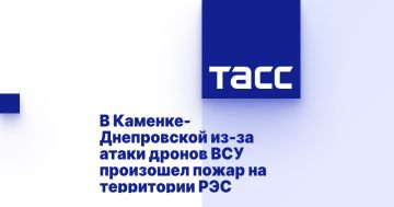 В Каменке-Днепровской из-за атаки дронов ВСУ произошел пожар на территории РЭС