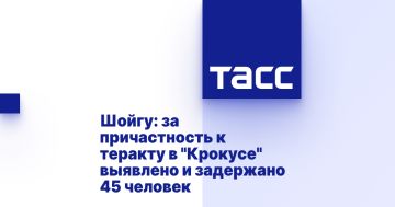 Шойгу: за причастность к теракту в "Крокусе" выявлено и задержано 45 человек
