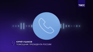 Путин и Уиткофф обсуждали возможность прямых переговоров Украины и России