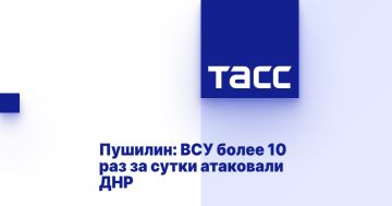 Пушилин: ВСУ более 10 раз за сутки атаковали ДНР