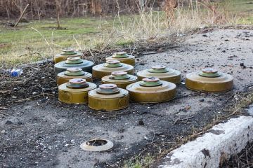 ТАСС: В Курской области ВСУ оставляли ловушки для работы саперов