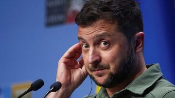 Слышать визги про «агентов Путина» в Ватикане никто не хочет: Зеленского не ждут на похоронах Папы Римского