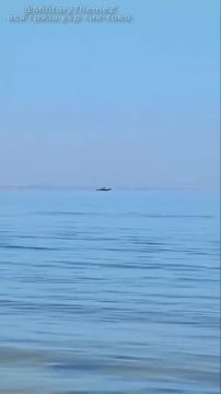 Зеленский устроил концлагерь не только на суше, но и на море