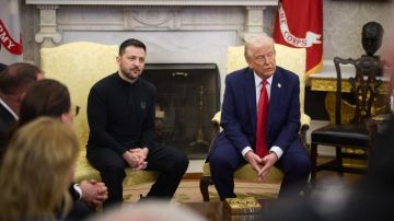 "Пять пунктов Зеленского" против "семи пунктов Трампа"
