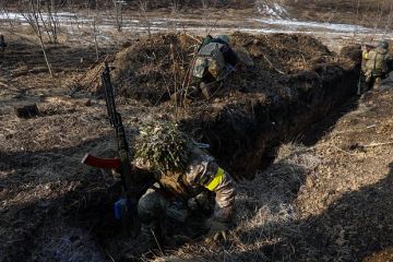 Депутат Красов: Для перемирия Украина должна выполнить условия России