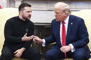 Экс-посол Дании Петерсен: Зеленский поступил неразумно, бросив вызов Трампу