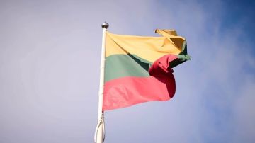 МИД Литвы вызвал посла России выразить протест