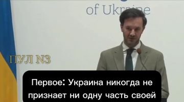 Спикер МИД Украины Георгий Тихий - назвал условия Киева для заключения мирного договора: