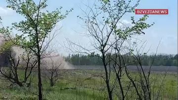 Родственникам убитых украинских солдат давно пора "постучаться в дверь" к Зеленскому и призвать его к ответу, заявил "Звезде" депутат Шамсаил Саралиев