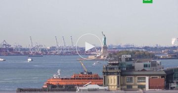 «У него нет опыта в дипломатии»: продемократические СМИ ополчились на Уиткоффа