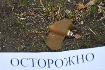 В ДНР два человека пострадали из-за подрыва мины "Лепесток"