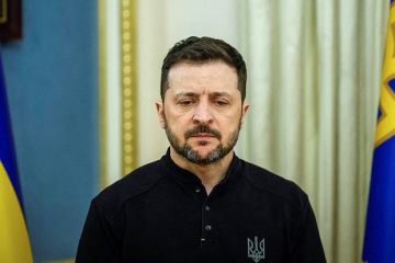 Мирошник: Зеленский пытается что-то выторговать в обмен на Курскую область