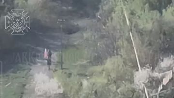 Враг выбит из села Поповка Краснояружского приграничья