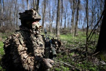 Герасимов: В Курской области проверяют леса на предмет оставшихся солдат ВСУ