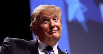 The Times: Трамп планирует оставить России все подконтрольные Москве новые территории