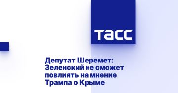 Депутат Шеремет: Зеленский не сможет повлиять на мнение Трампа о Крыме