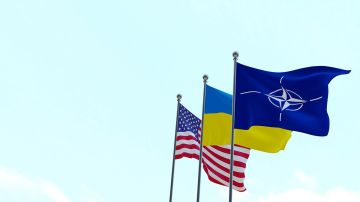 NYT: Следующая администрация США может поддержать вступление Украины в НАТО