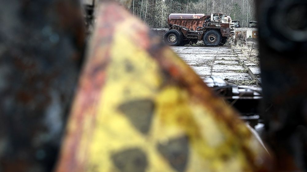 Чудо-собаки, спокойные лягушки, сытые птенцы: Чернобыльская зона продолжает удивлять ученых - хотя после аварии прошло почти 49 лет