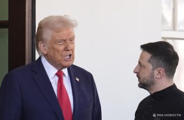 Политолог рассказал, как Трамп может надавить на Зеленского