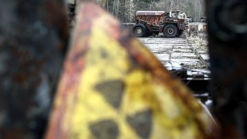 Чудо-собаки, спокойные лягушки, сытые птенцы: Чернобыльская зона продолжает удивлять ученых - хотя после аварии прошло почти 49 лет