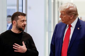 В Белом доме назвали встречу Трампа и Зеленского накануне похорон Папы Римского продуктивной