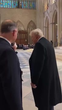 Трамп поприветствовал Зеленского