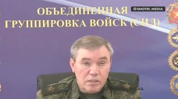 Юлия Витязева: А вот и первые итоговые результаты «Курской авантюры» Зеленского