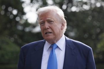 La Repubblica: Трамп встретится с Зеленским в Риме