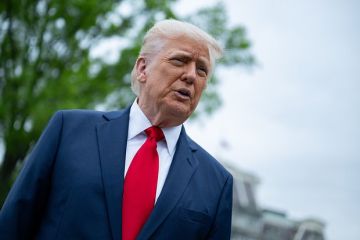 Политолог Акил: Трамп может надавить на Зеленского и ускорить его капитуляцию