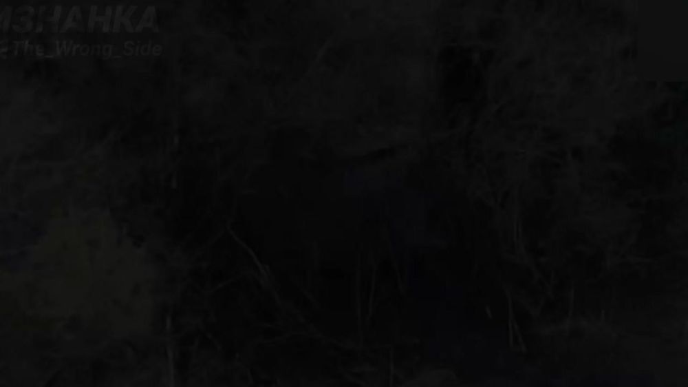 Уничтожение танка Т-64 четвертой отдельной танковой бригады ВСУ с применением барражирующего боеприпаса «Ланцет» и FPV-дрона ВС РФ в районе н.п. Куриловка на Богуславском направлении