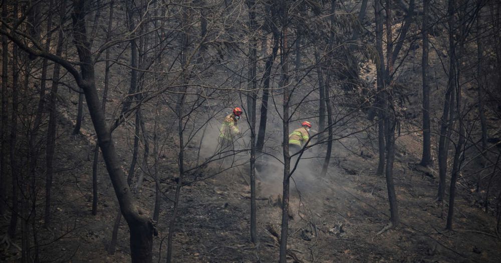 ���������� ���������� �� ��������� ����� ������ ������� � ��������� ���