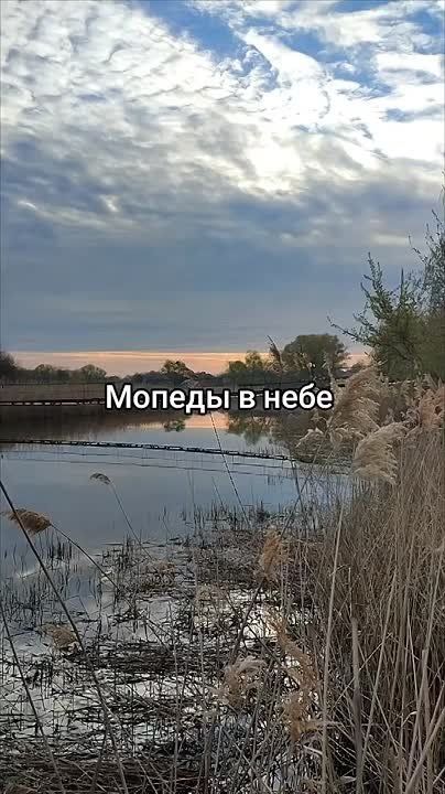 ������ �������: � ���� ��� �������� ������� "������" ���� �� ���� ������ ������� ���������� ����� � �����