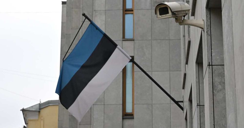 В Эстонии выразили готовность к сотрудничеству с РФ после украинского конфликта