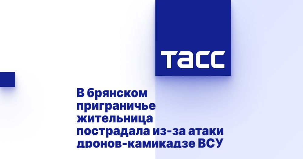 В брянском приграничье жительница пострадала из-за атаки дронов-камикадзе ВСУ