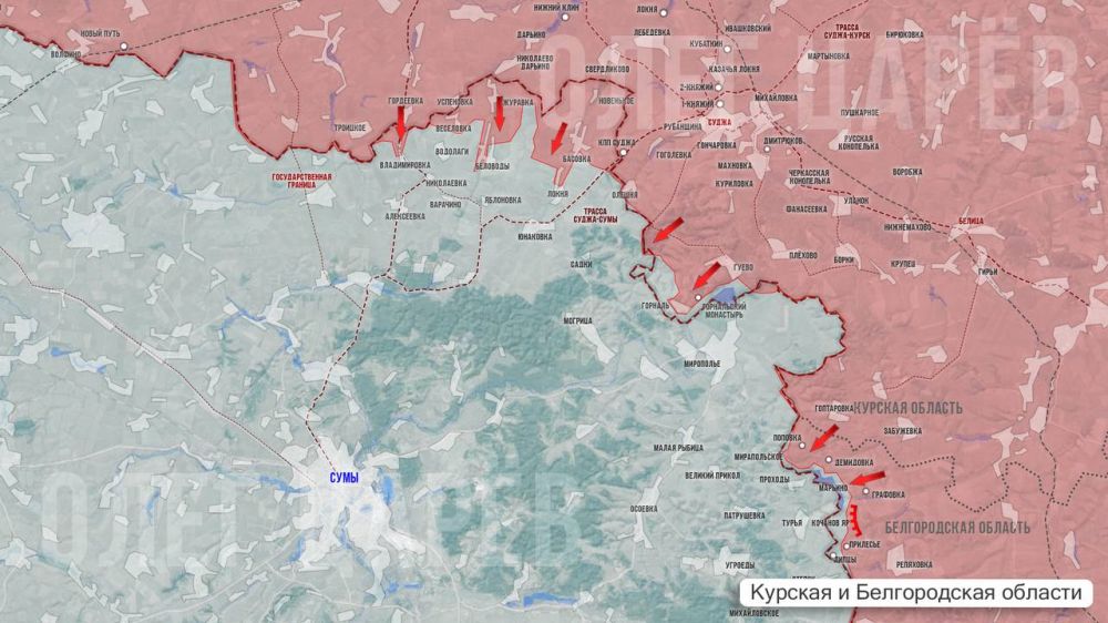 Олег Царёв: О ситуации в Курской и Белгородской областях 1 мая