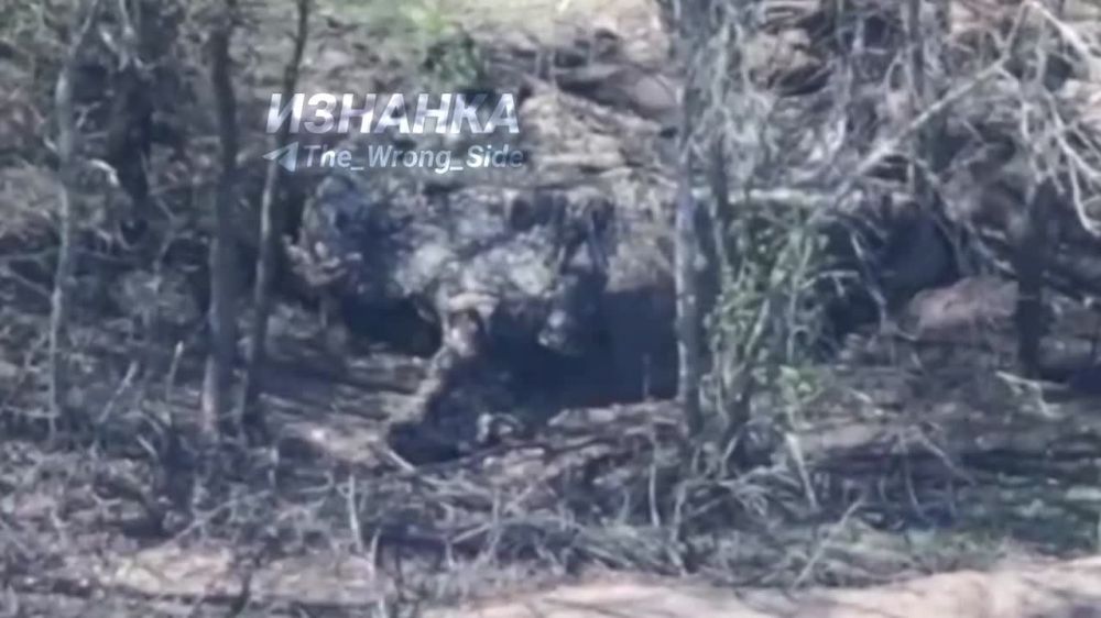 ВС РФ применив FPV-дрон уничтожили 122-мм гаубицу Д-30 «Молот» ВСУ в районе н.п. Новоплатоновка на Богуславском направлении