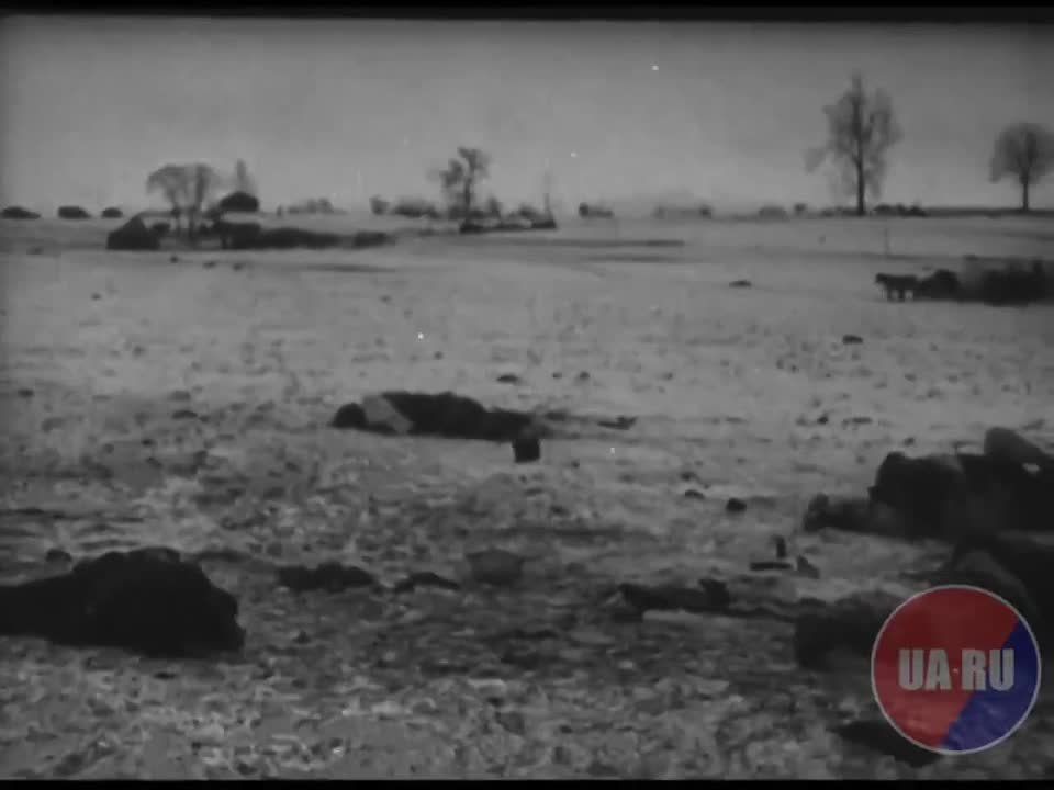 В спецпроекте «Фотоальбом Победы» мы каждый день публикуем небольшую подборку фото- и кинохроники военных лет